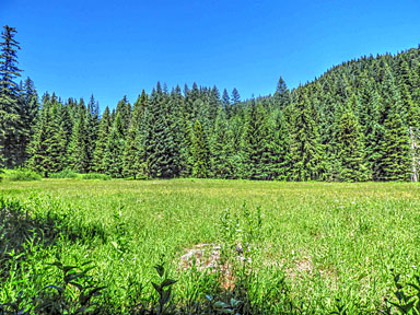 tombstone meadows 4 graphic